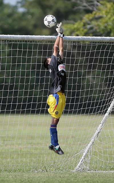 新秀崛起 新秀崛起