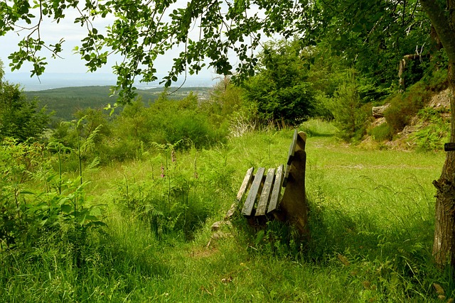 BA赛场上 BA赛场上